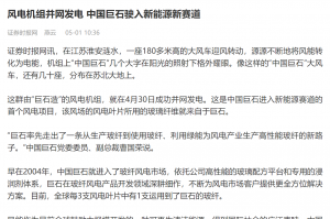 时报：风电机组并网发电 中国利来w66驶入新能源新赛道